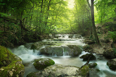 Poznaj oblicze dzikich zakątków natury